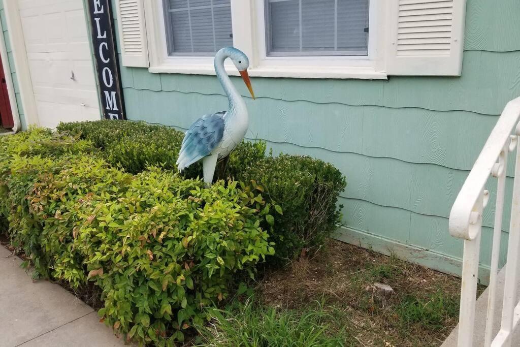 Blue Flamingo'S Charming Home-Heart Of Tulsa2- Cherry St-Expo-11Th Buitenkant foto